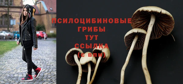 мдпв Сатка