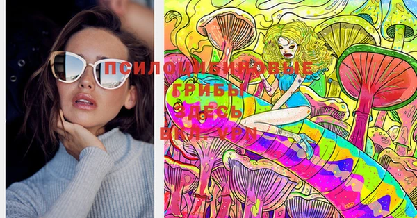 мдпв Сатка